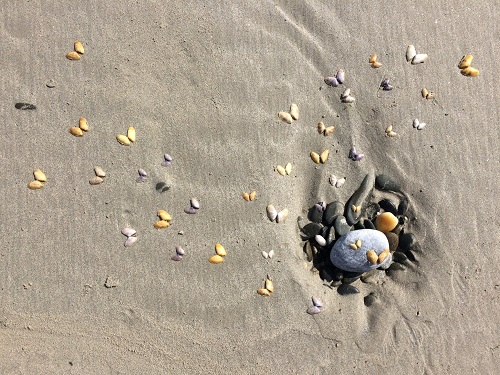 responsabilité sociale et environnementale